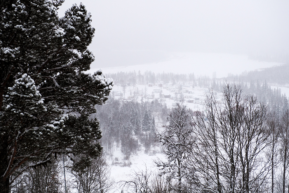 Vintervy över ett snötäckt landskap